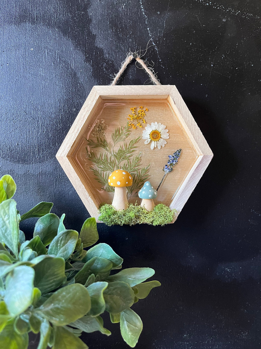 Pixie shadow box