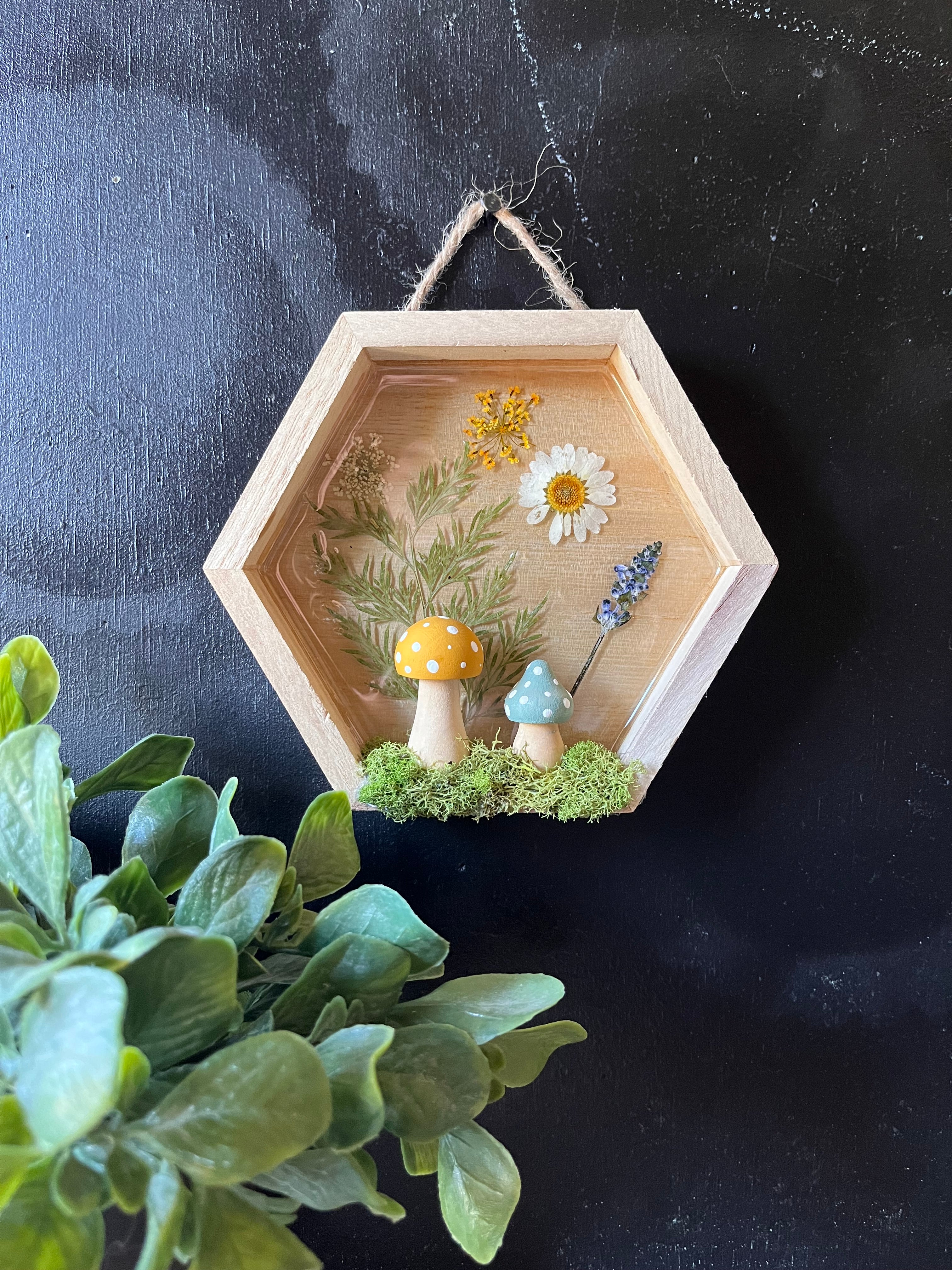 Pixie shadow box