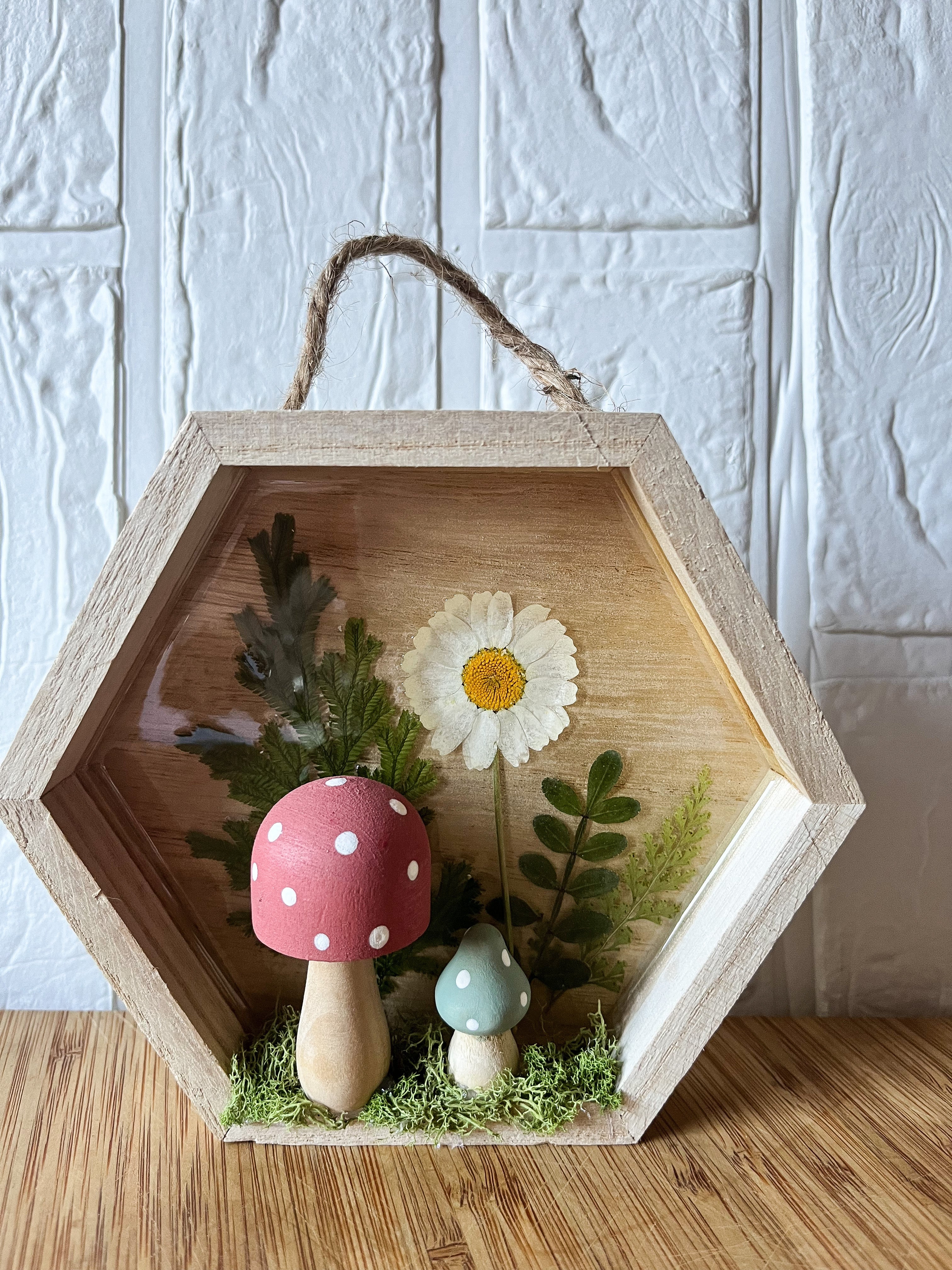 Pixie shadow box