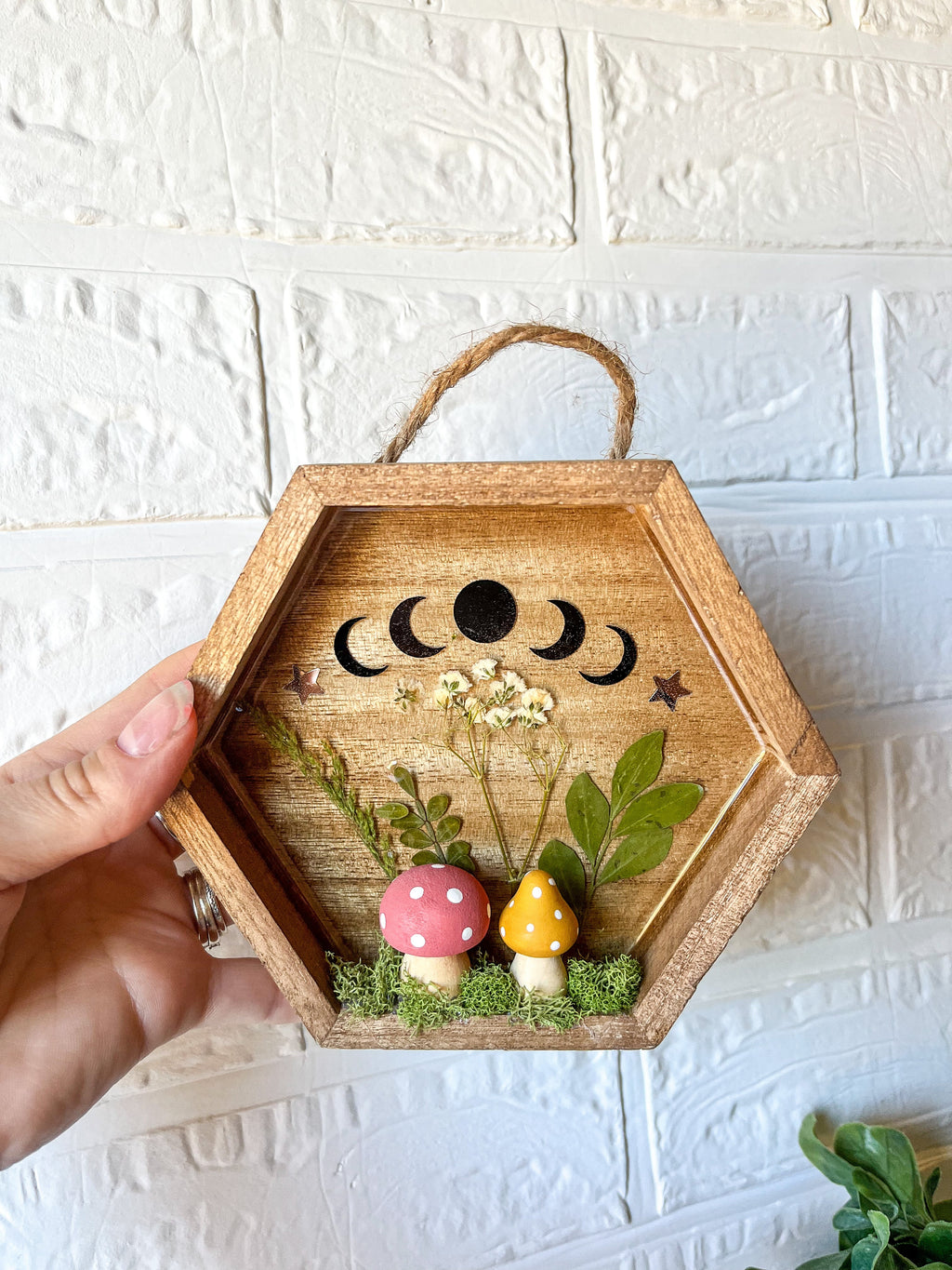 Serenity shadow box