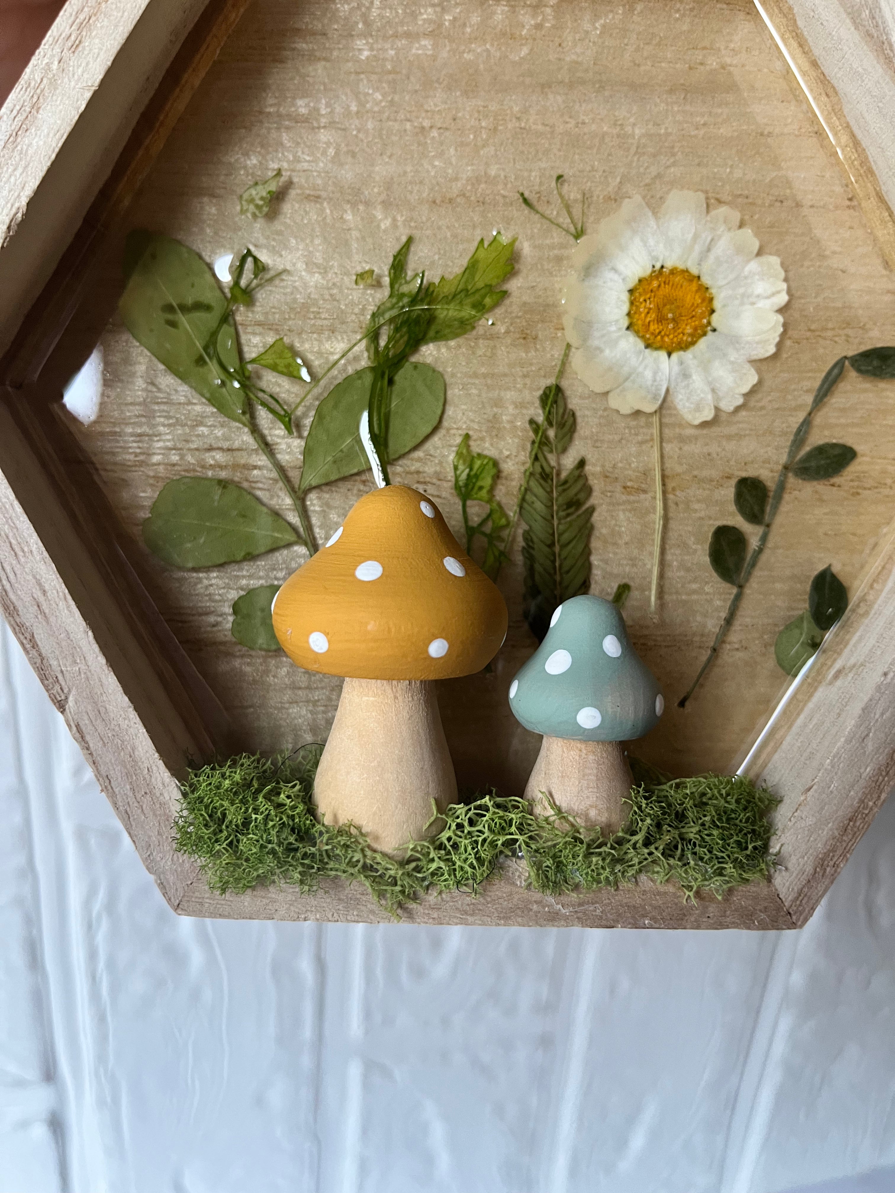 Pixie shadow box