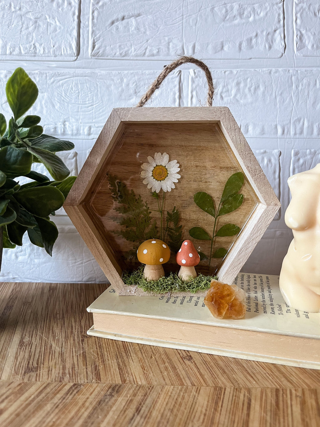 Pixie shadow box