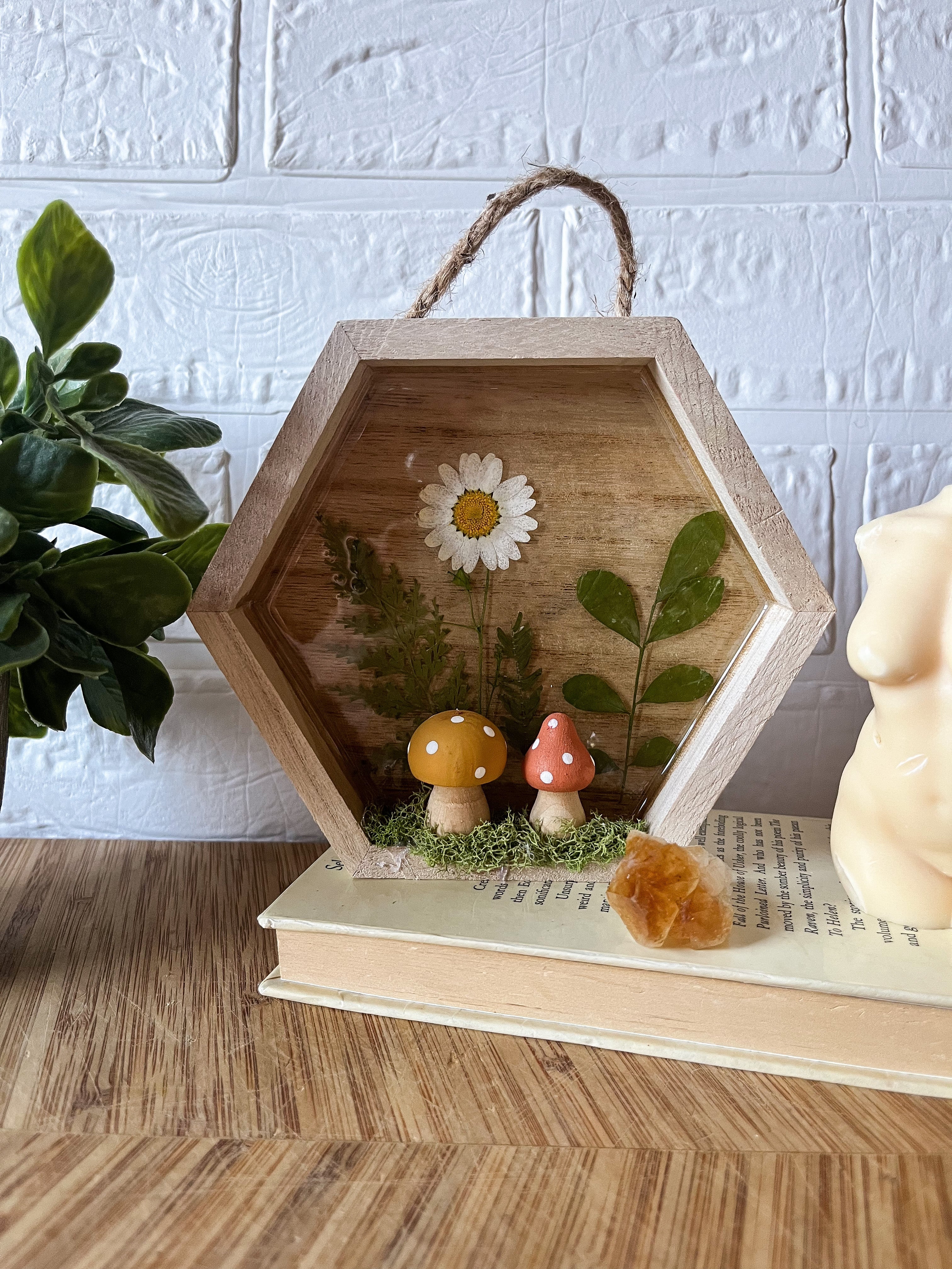 Pixie shadow box