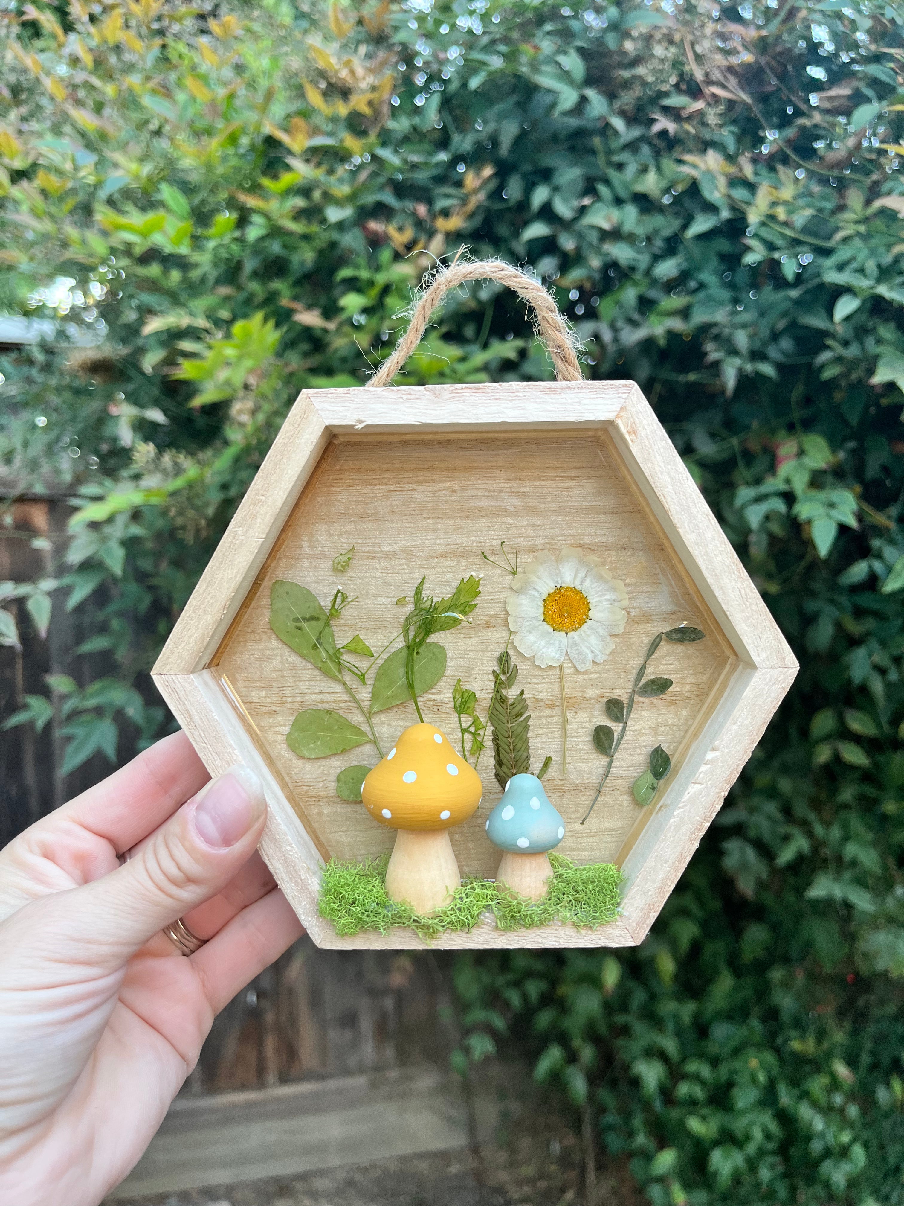 Pixie shadow box