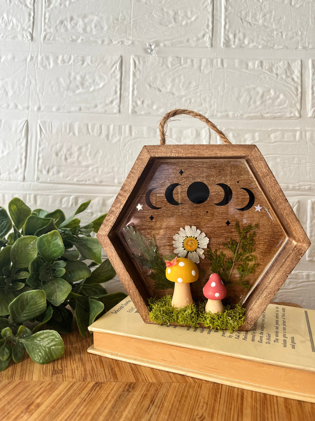 Serenity shadow box