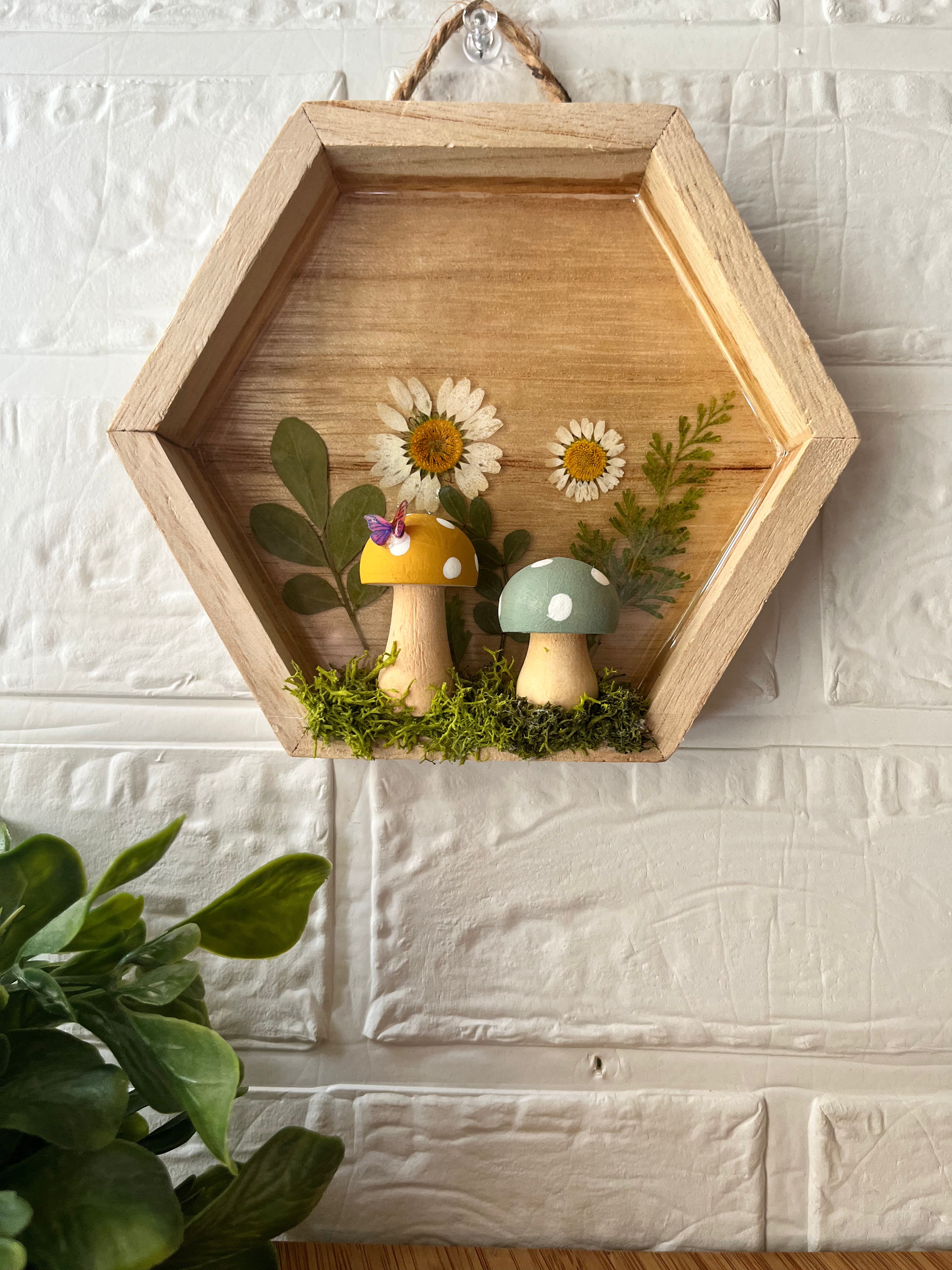 Pixie shadow box